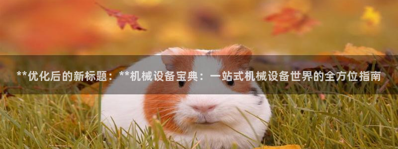 J9九游会老哥俱乐部官方