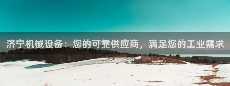 九游会是什么组织