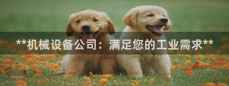 j9九游会vip