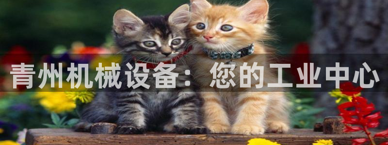 九游会真人第一品牌游戏合营