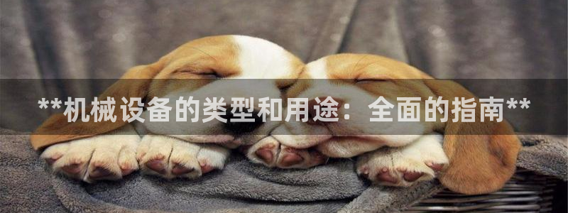 J9九游会ag