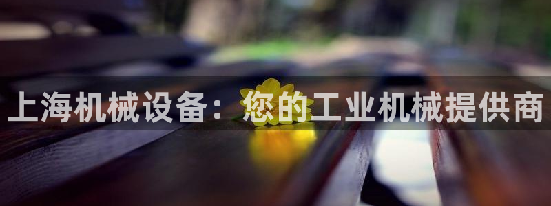 ag九游会app下载版官网正版