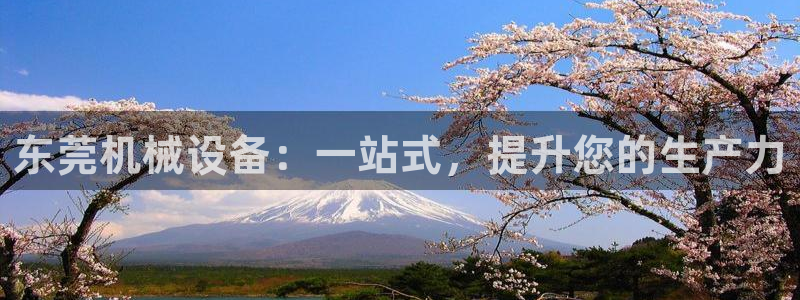 j9九游会官方网站国际怎么样