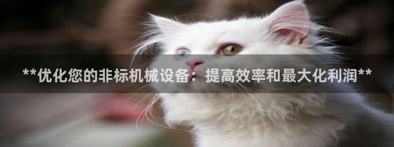 J9九游会登陆