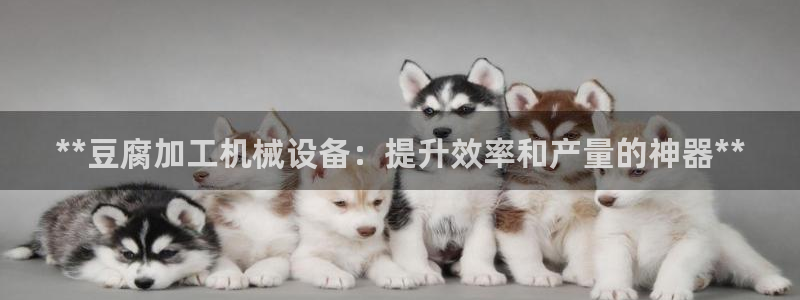 J9九游会登陆
