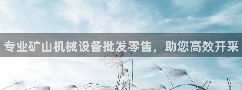 j9九游会怎么样