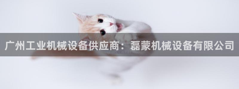 九游会app官方下载