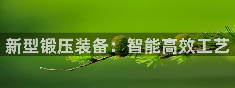 J9九游会手机登录