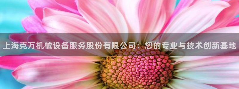 九游会j9官网：上海