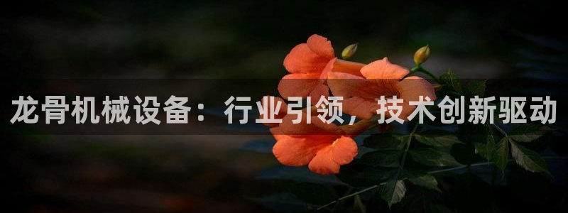 九游会ag网址大全专业版
