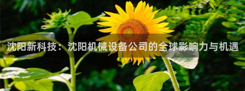九游会ag真人官网在哪