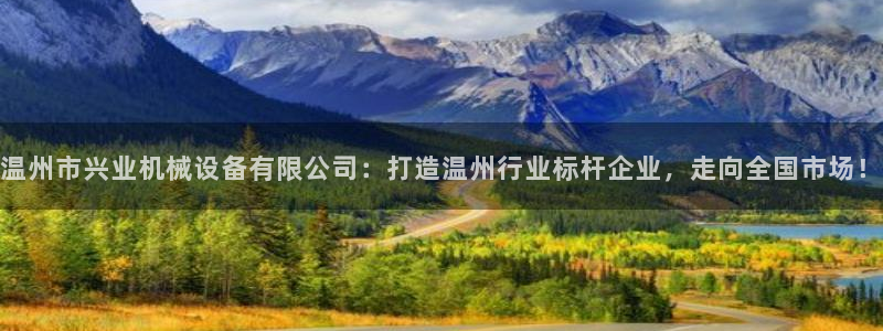 九游会是大平台吗：温