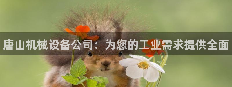 九游会官方网站中心