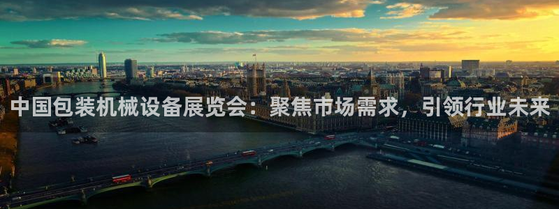 九游会6up：中国包