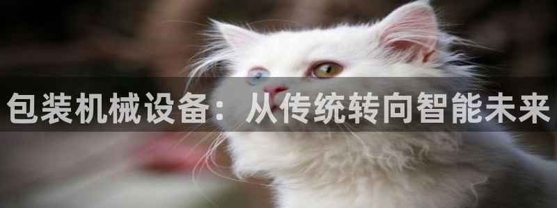 九游会怎么了