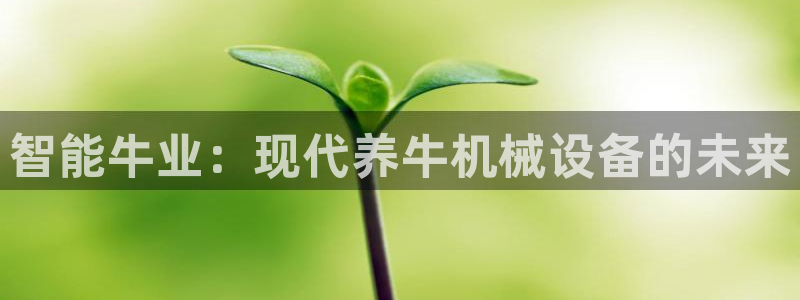 九游会官网进入口