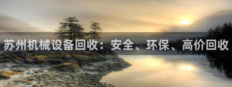 九游会ag网址大全专